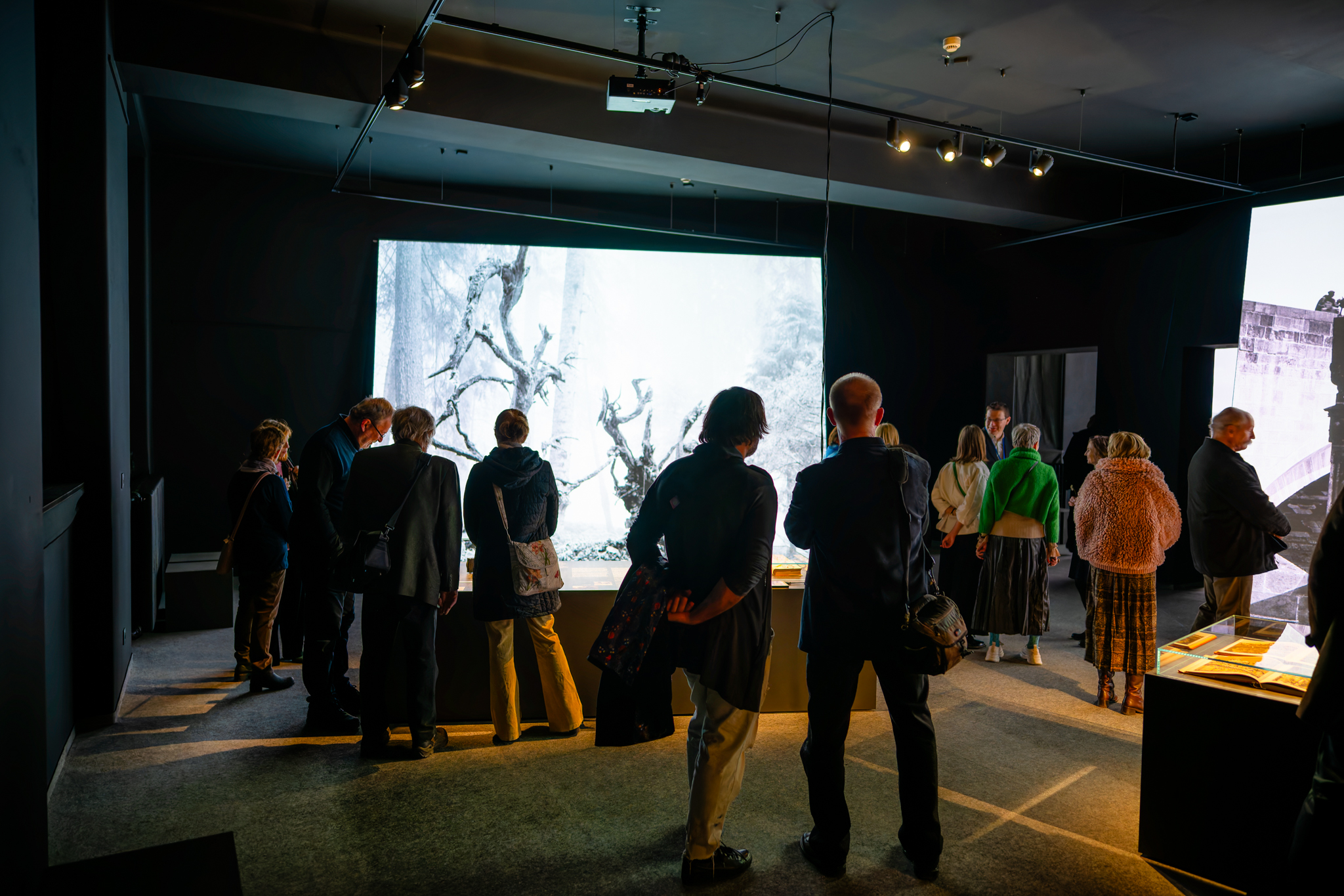 DSC 4461 DxO DeepPRIME XD2s